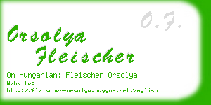 orsolya fleischer business card